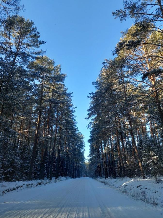 Bialy Zagiel - Dom Do Wynajecia Pluski Villa Esterno foto